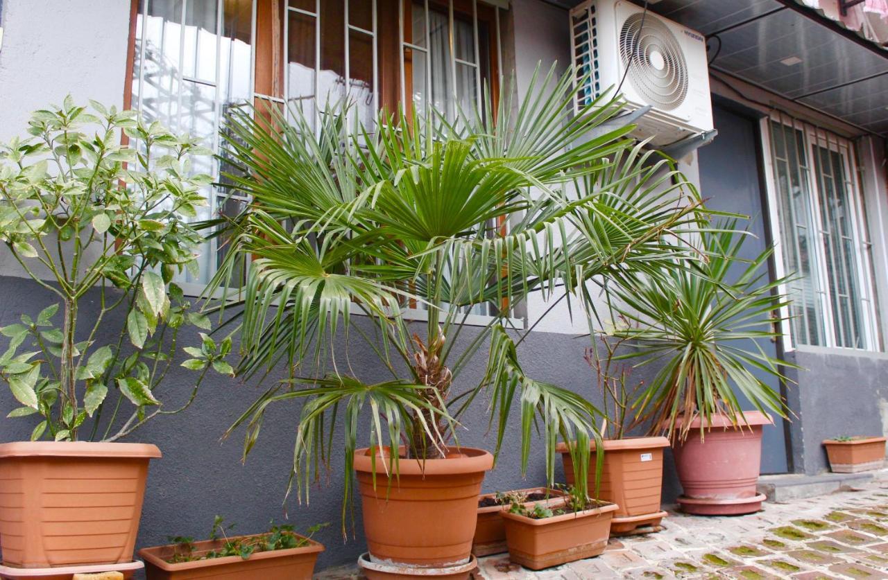 Tiny Old Tbilisi Apartman Kültér fotó